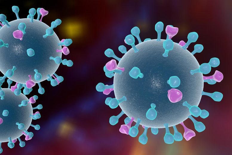 科学家发现可以中和流感病毒的新型抗体-DG城市