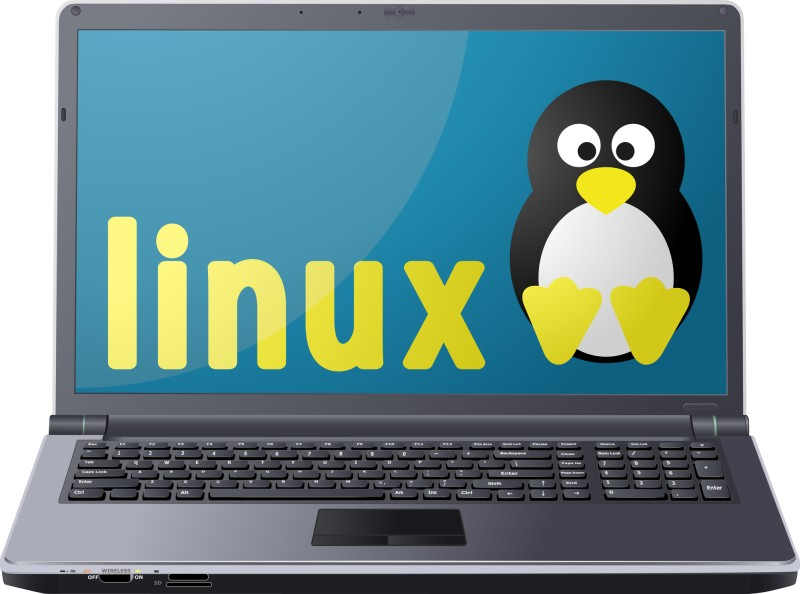 Linux 操作系统的 12 个主要优点和缺点-DG城市
