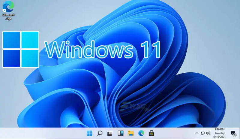 Windows 11 专业版预激活-dgcity