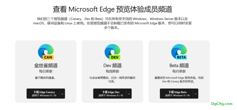 适用于 Windows 的 Microsoft Edge Canary-dgcity