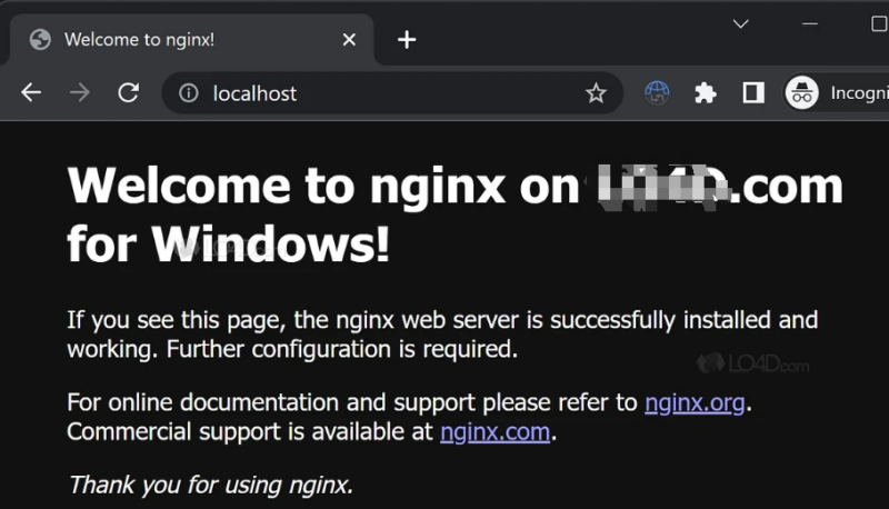 适用于 Windows 的 Nginx web服务器-dgcity