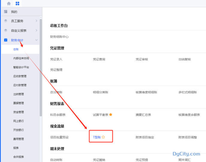 云星空使用T型帐批量指定现金流量-dgcity