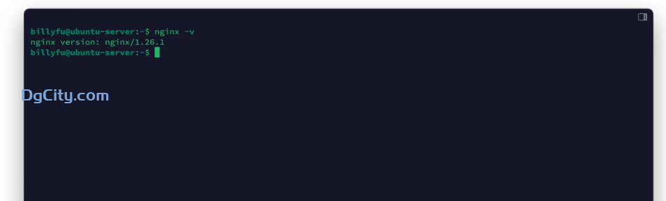 图片[6]-ubuntu22.04安装最新版本的nginx-Dgcity