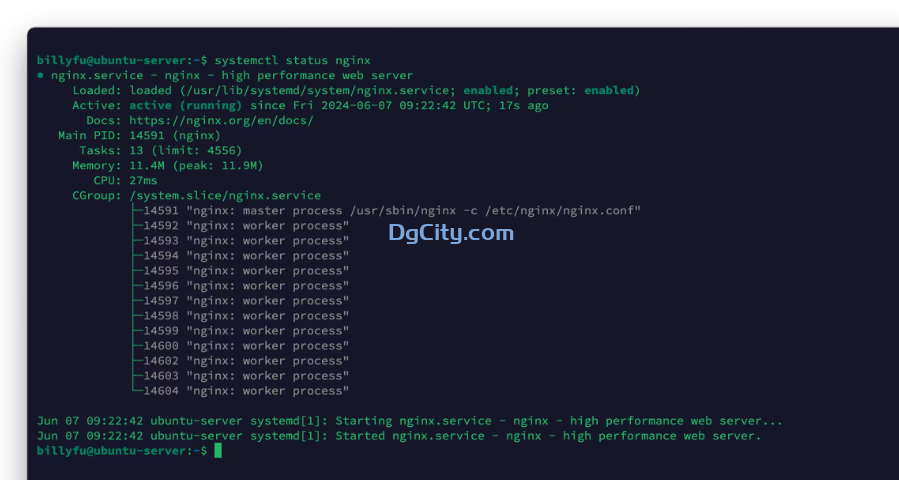 图片[7]-ubuntu22.04安装最新版本的nginx-Dgcity