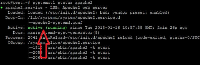 部署网站之ubuntu 22.04 上安装和优化 Apache-dgcity