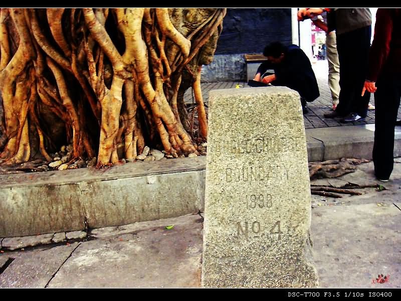 One Street, Two Systems: A Comprehensive Travel Guide to Shenzhen's Zhongying Street-Dgcity-Discover Great Chinese City