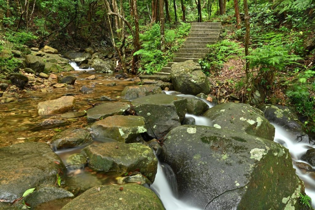 深圳梧桐山：鹏城绿肺与生态文化地标