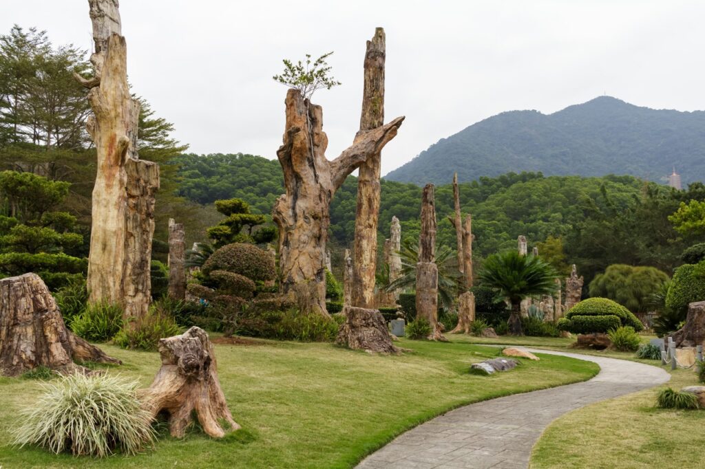 深圳仙湖植物园游玩攻略｜梧桐山麓的植物王国与禅意秘境