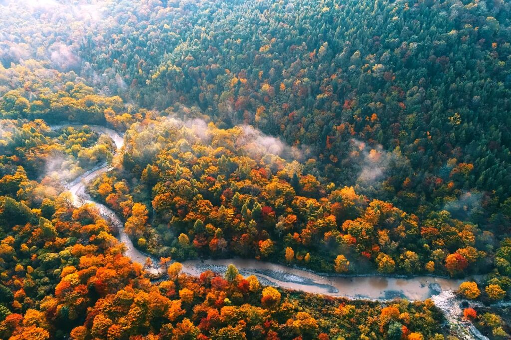 冰韵黑土，文脉北疆——解码中国东北地区的独特魅力