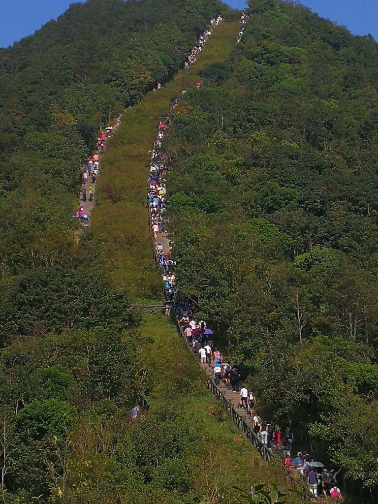深圳梧桐山：鹏城绿肺与生态文化地标
