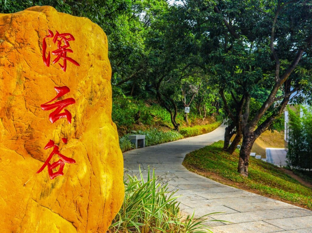 Tanglang Mountain Shenyun Valley: An Ecological Secret in Shenzhen