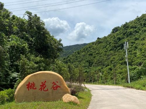 Maluan Mountain Country Park: A Hidden Gem of Waterfalls, Ancient Villages and Sea Views in Shenzhen
