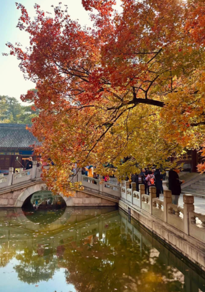 丹枫映古寺——北京香山公园深度游览指南-Dgcity-Discover Great Chinese City
