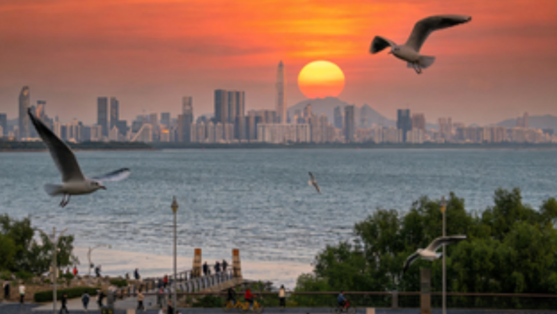 Shenzhen: From a Fishing Village to a Global Innovation Hub-Dgcity-Discover Great Chinese City