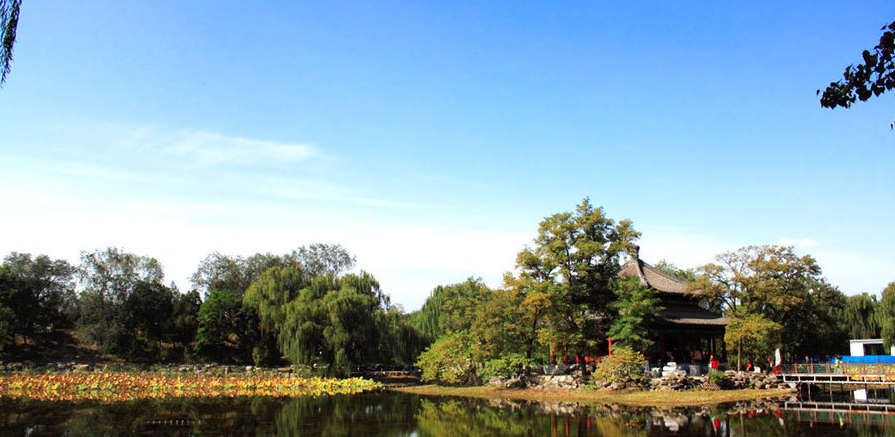 Chinese Classical Gardens: A Symbiotic Realm of Nature and Humanities