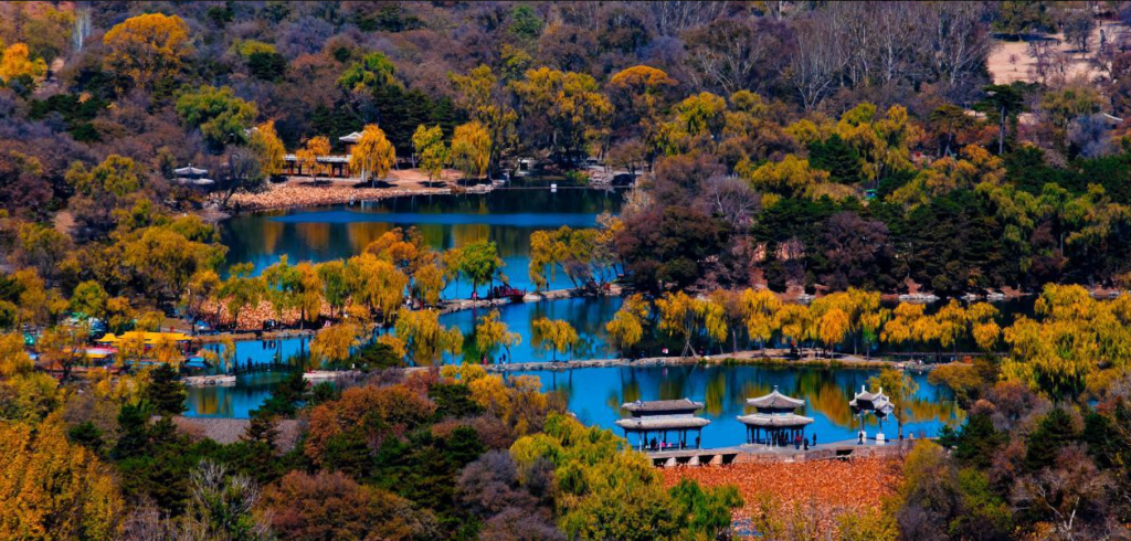 Chinese Classical Gardens: A Symbiotic Realm of Nature and Humanities