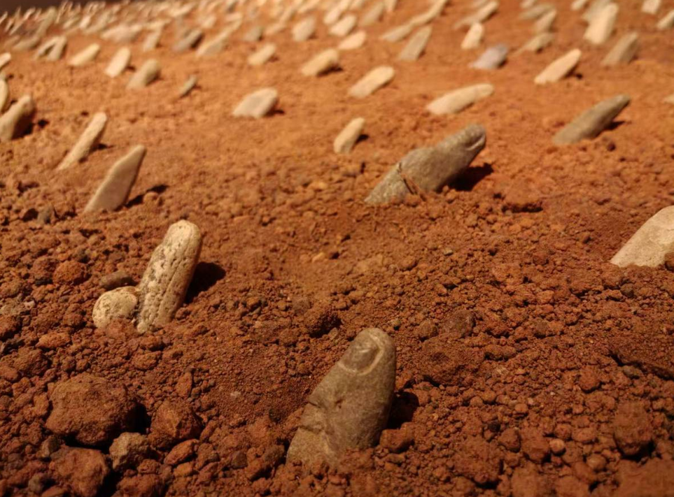 Breaking Boundaries and Coexisting: Decoding the Spiritual Code of Chinese Avant-Garde Exhibitions