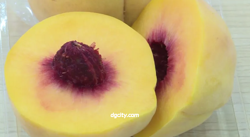 Fengxian Yellow Peach Tour in Shanghai – Explore the Sweet Countryside of a Modern Metropolis Fengxian Yellow Peach Tour in Shanghai – Explore the Sweet Countryside of a Modern Metropolis