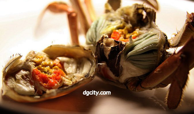 崇明老毛蟹｜上海郊外的鲜醇盛宴