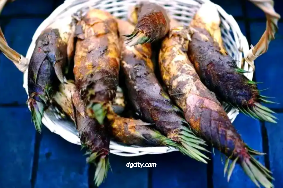 Sheshan Orchid Bamboo Shoots: A Precious Spring Delicacy Hidden in Shanghai’s Mountains