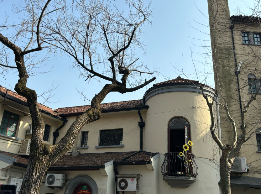 武康路——漫步梧桐深处，读懂上海的百年文艺与风情-Dgcity-Discover Great Chinese City