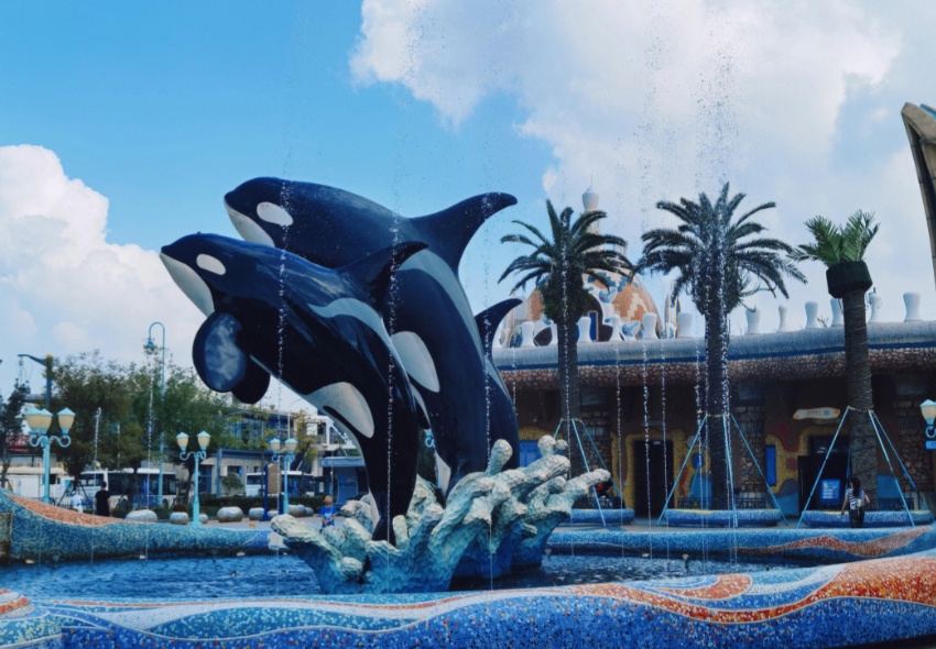 上海海昌海洋公园——潜入深蓝秘境，邂逅极地萌趣与海底奇观-Dgcity-Discover Great Chinese City