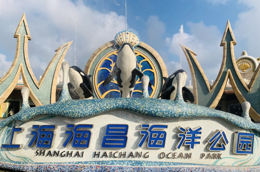 Shanghai Haichang Ocean Park – Dive into the Deep Blue, Encounter Polar Cuteness and Underwater Wonders-Dgcity-Discover Great Chinese City