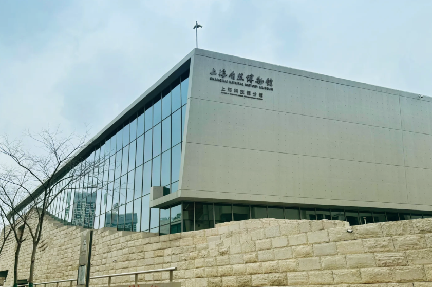 上海自然博物馆——穿越时空，解锁自然万物的奥秘