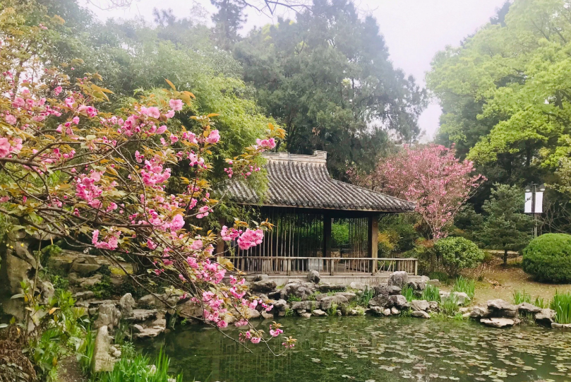 藏在黄浦江心的静谧秘境——上海复兴岛公园游玩全攻略