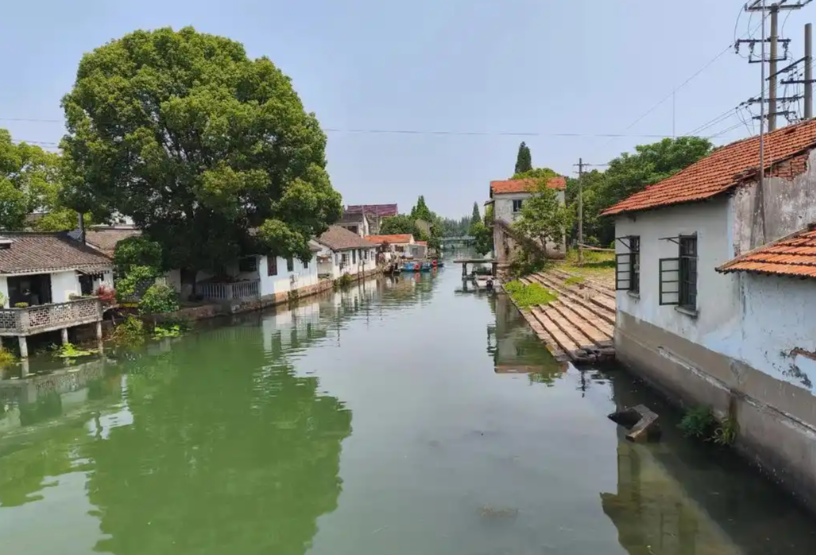 桥揽千年韵 水润江南情——上海金泽古镇外国旅客游玩全攻略-Dgcity-Discover Great Chinese City