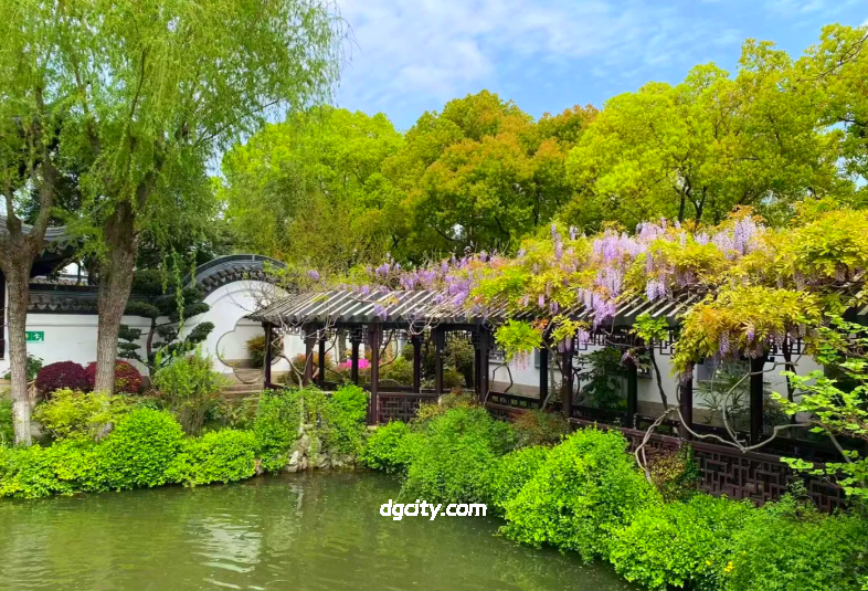古藤缀景 文脉留芳——上海古藤园外国旅客专属游览指南-Dgcity-Discover Great Chinese City