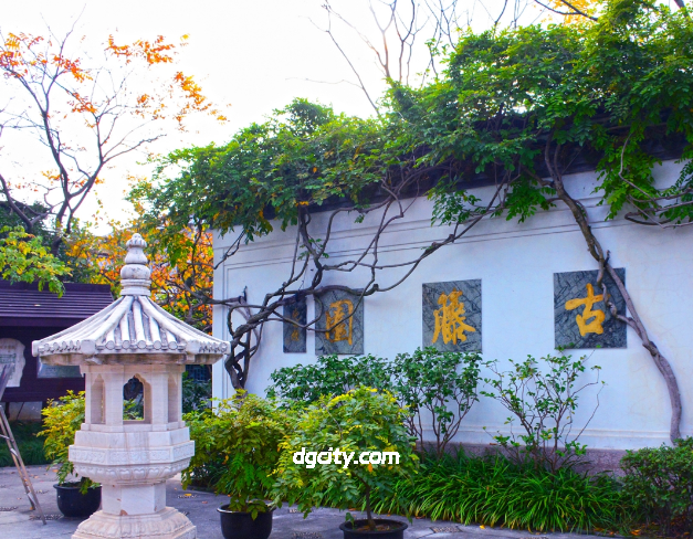 Wisteria Adorns the Scenery, Culture Leaves Its Fragrance: Exclusive Guide to Shanghai Guten Garden for Foreign Tourists-Dgcity-Discover Great Chinese City