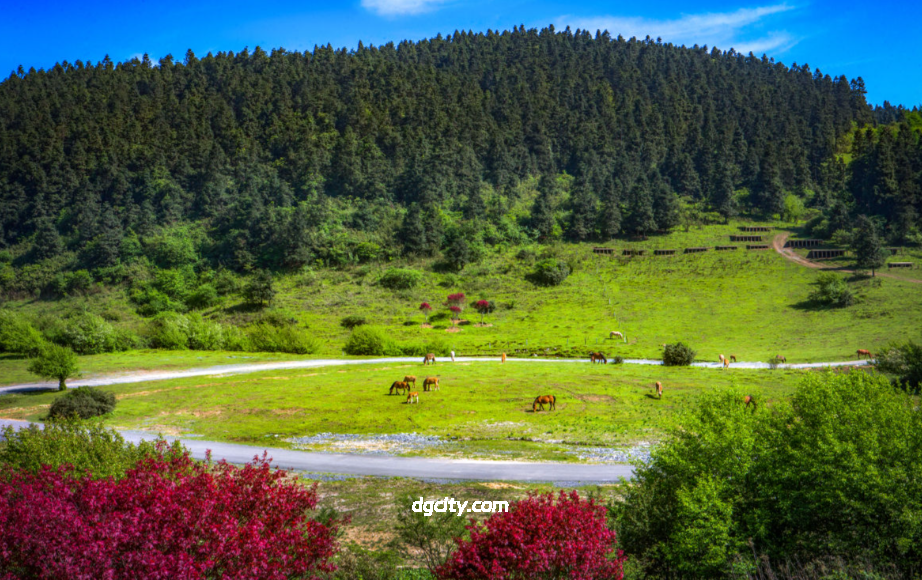 “Oriental Switzerland” in Mountain City: A Complete Travel Guide to Xiannü Mountain