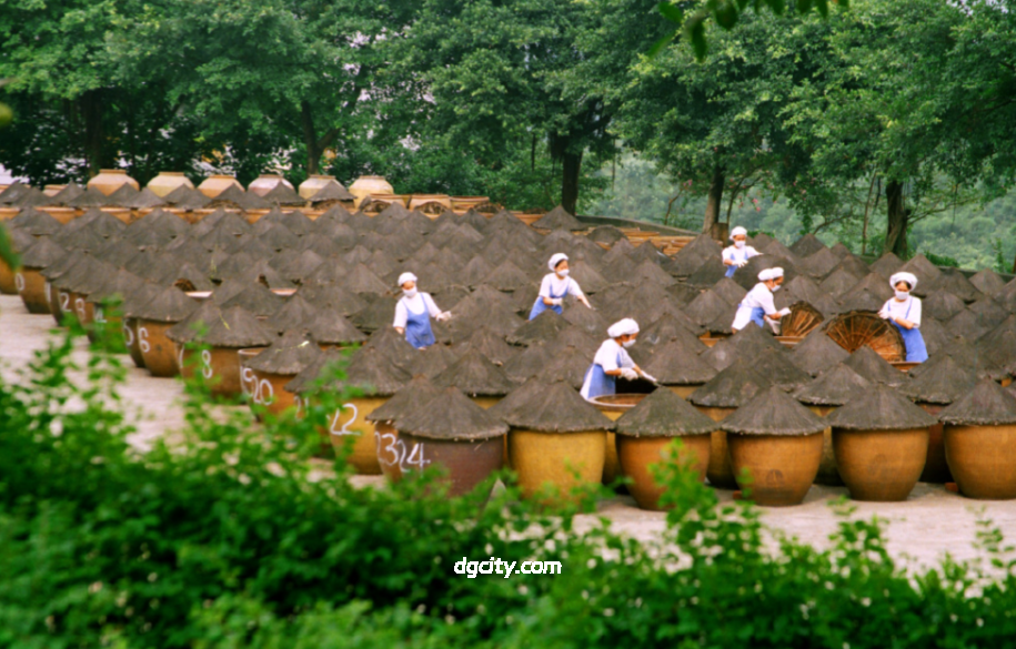 重庆永川豆豉酿制技艺完整版指南-Travel China - 旅行中国