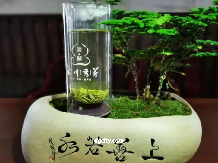 Handmade Making Skills of Yongchuan Xiuya Tea: Inheriting Intangible Cultural Heritage, Brewing the Fragrance of Bashu Green Tea