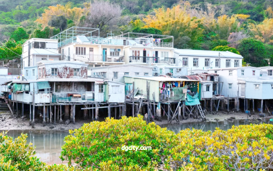 Water Charm and Fishing Village: A Comprehensive Leisure Guide to Tai O Fishing Village Hong Kong-Dgcity-Discover Great Chinese City