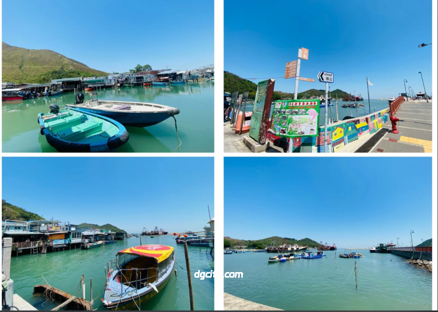 Water Charm and Fishing Village: A Comprehensive Leisure Guide to Tai O Fishing Village Hong Kong