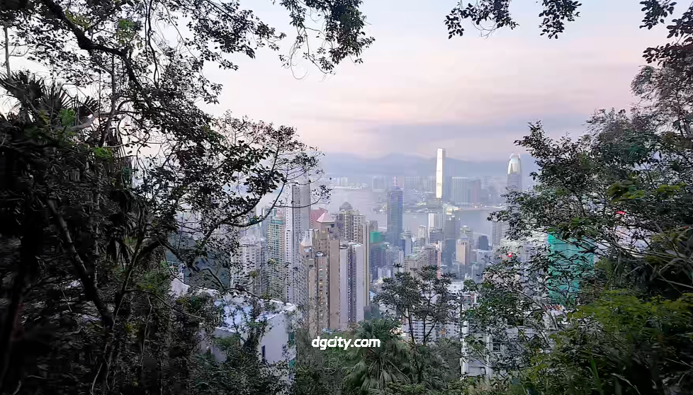 The Ultimate Guide to Hong Kong’s Central-Mid-Levels Escalator The Ultimate Guide to Hong Kong’s Central-Mid-Levels Escalator