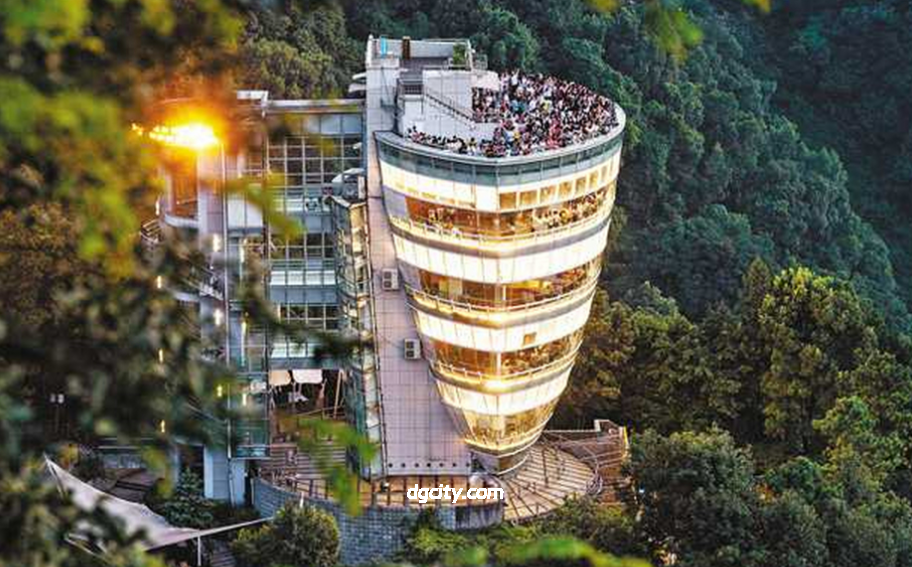 One Tree Observation Deck on Nanshan Mountain, Chongqing: A Complete Travel Guide