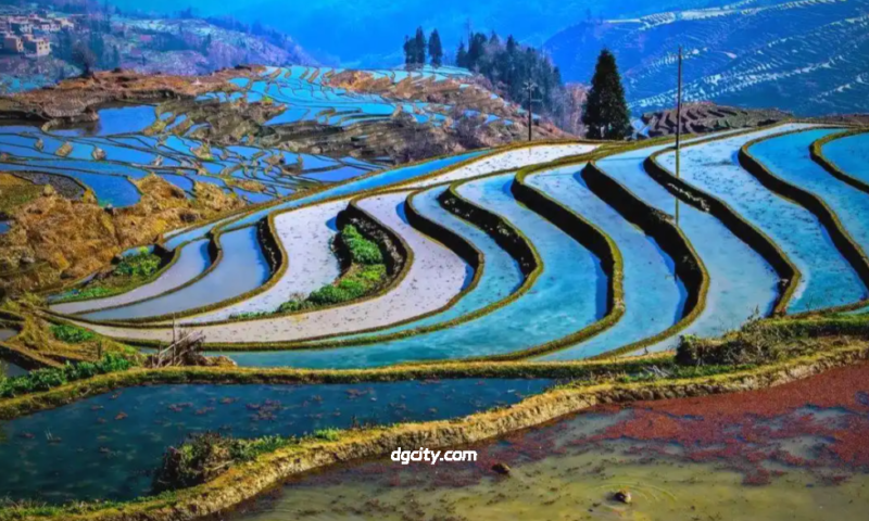Witness Hani Terrace Culture-Travel China - 旅行中国
