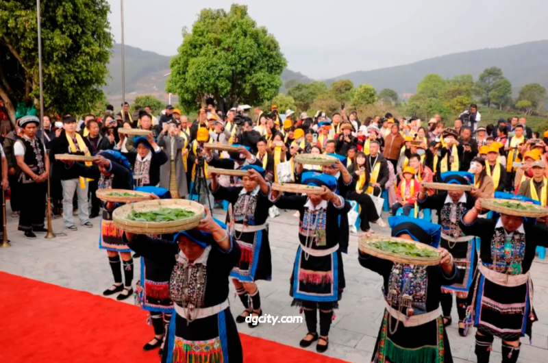 Pu'er Tea Culture Festivals Guide-Travel China - 旅行中国