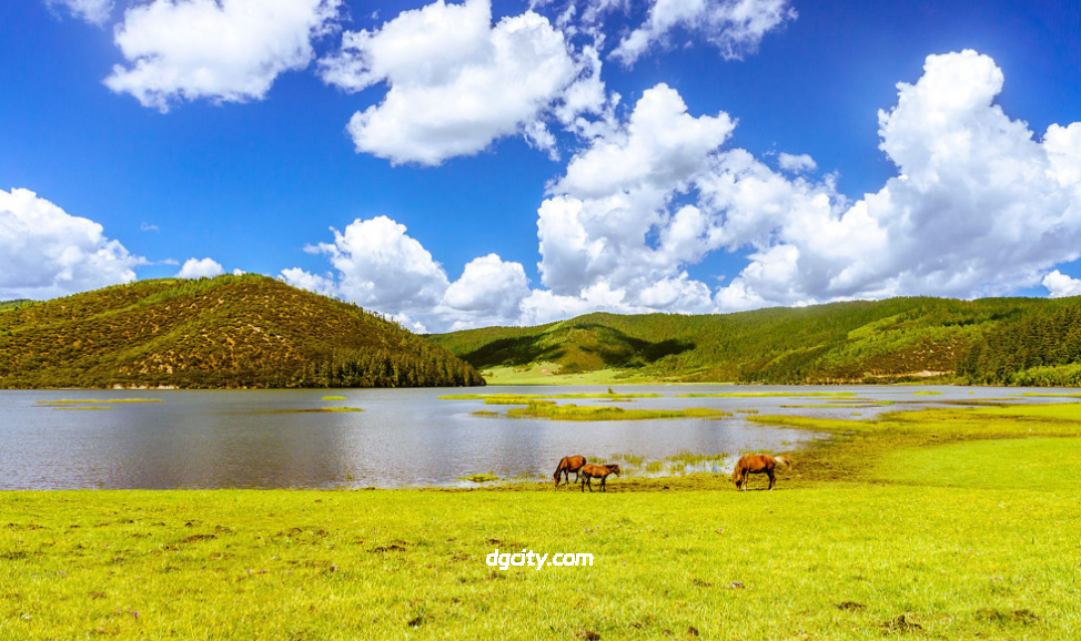 Discover Potatso National Park: China’s First National Park in Shangri-La-Travel China - 旅行中国