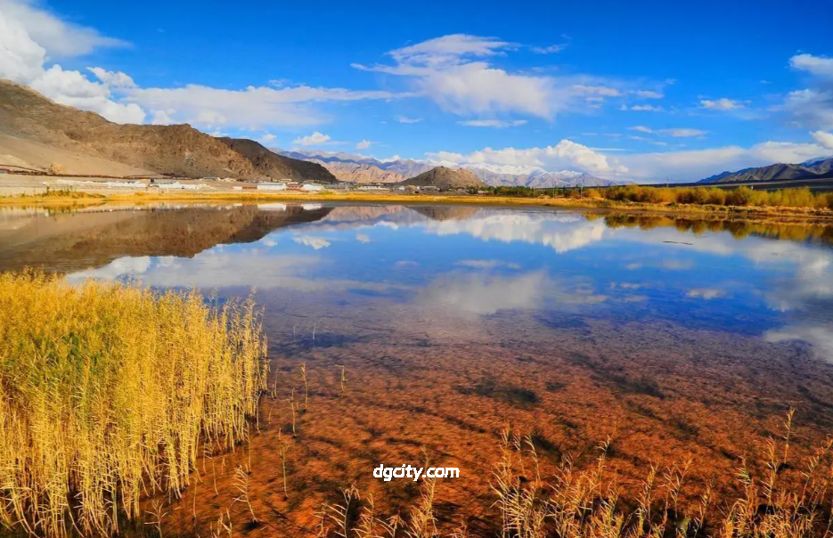 Explore Napa Lake: Seasonal Wetland & Birdwatcher’s Paradise