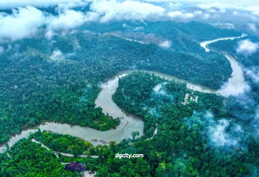 Adventure in Mengla Rainforest: Virgin Tropical Wilderness Exploration-Travel China - 旅行中国