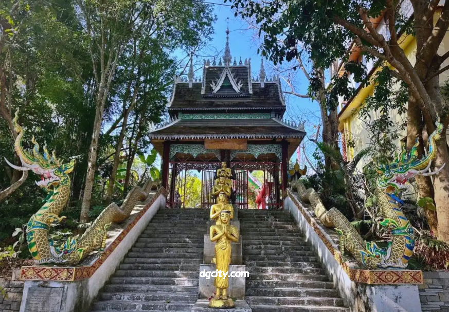 Adventure in Mengla Rainforest: Virgin Tropical Wilderness Exploration