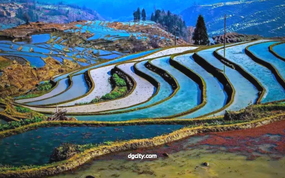 Photograph Yuanyang Rice Terraces: UNESCO Heritage & Sunrise Spectacle-Travel China - 旅行中国