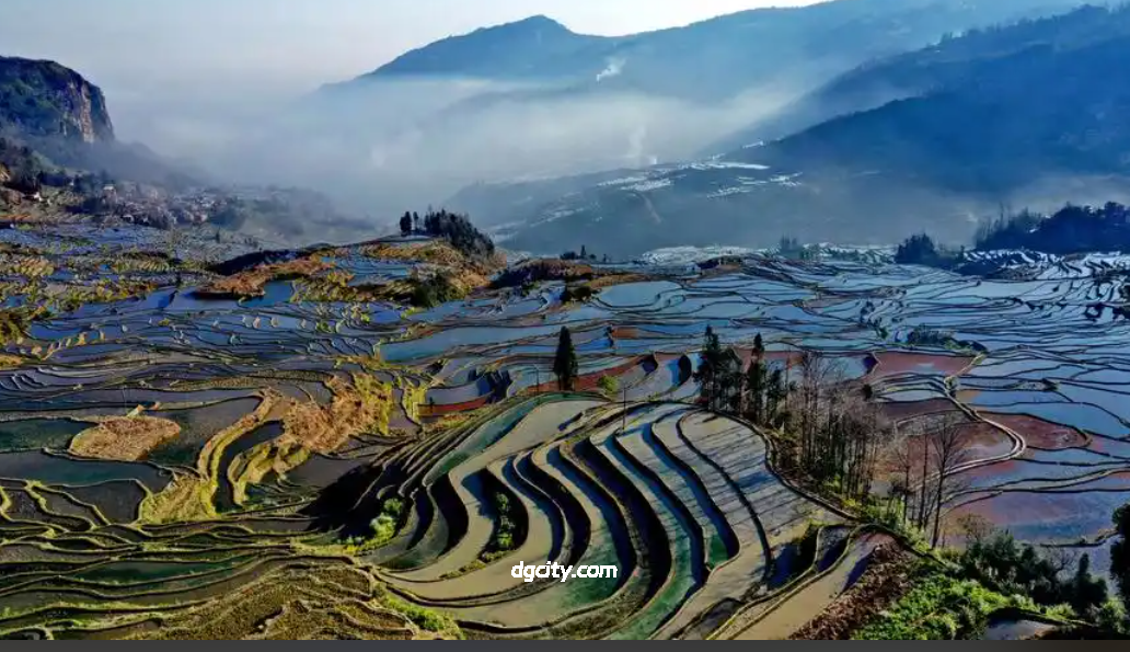 Photograph Yuanyang Rice Terraces: UNESCO Heritage & Sunrise Spectacle