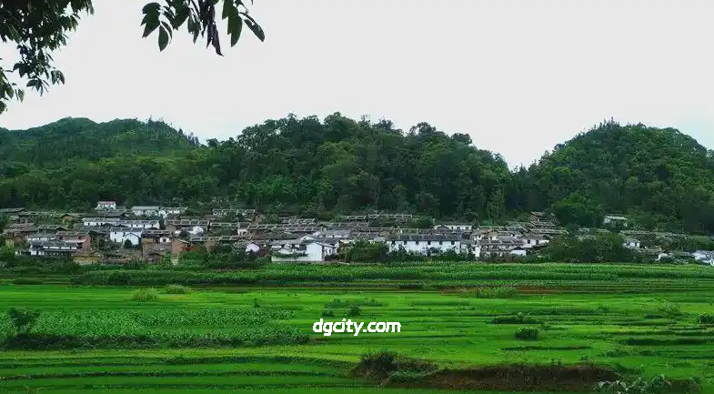 Discover Wenshan Villages: Border Ethnic Diversity & Festival Traditions-Travel China - 旅行中国