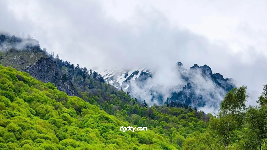 雪域丰碑，生态秘境——四川夹金山脉全景解读